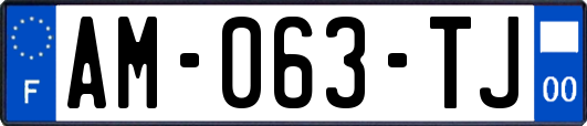 AM-063-TJ