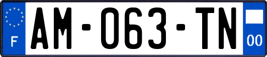 AM-063-TN