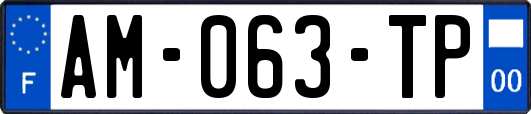 AM-063-TP