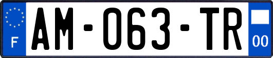AM-063-TR