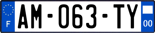 AM-063-TY