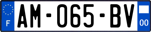 AM-065-BV