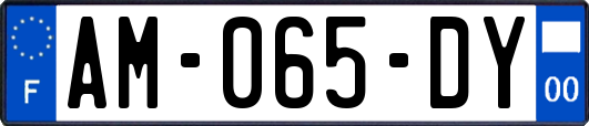 AM-065-DY