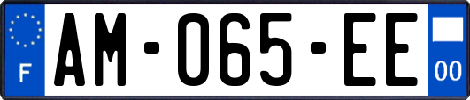 AM-065-EE