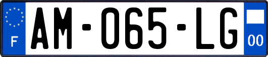 AM-065-LG