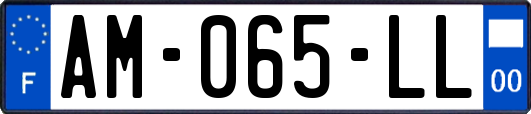 AM-065-LL