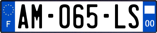 AM-065-LS