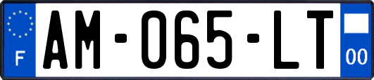 AM-065-LT