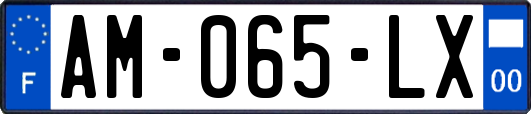 AM-065-LX