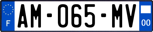 AM-065-MV