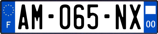 AM-065-NX