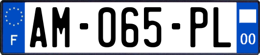 AM-065-PL