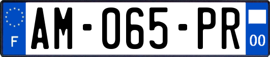 AM-065-PR
