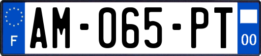 AM-065-PT