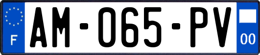 AM-065-PV