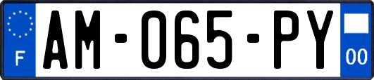 AM-065-PY