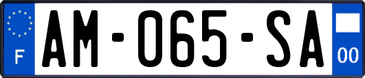 AM-065-SA