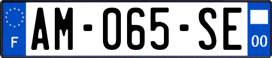 AM-065-SE