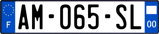 AM-065-SL