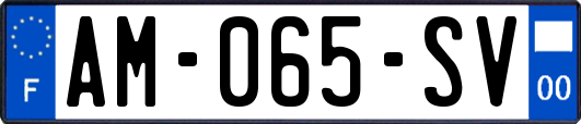 AM-065-SV