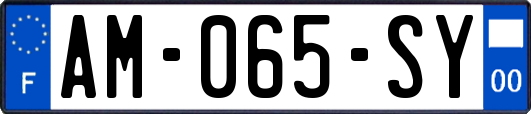 AM-065-SY