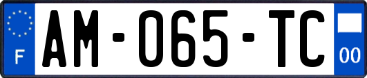 AM-065-TC