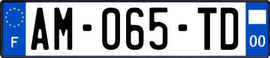 AM-065-TD