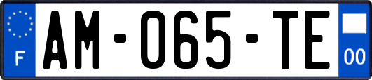 AM-065-TE