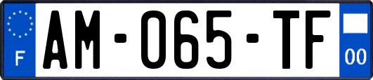 AM-065-TF
