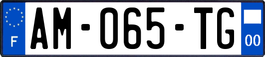 AM-065-TG