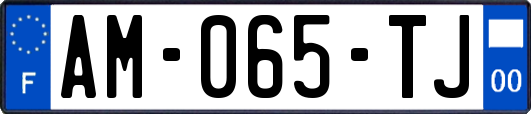 AM-065-TJ