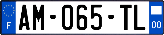 AM-065-TL