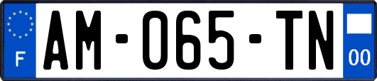 AM-065-TN