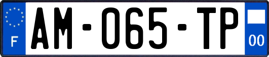AM-065-TP