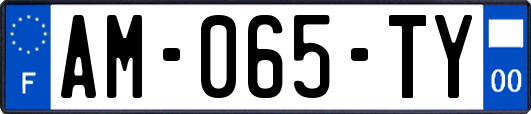AM-065-TY