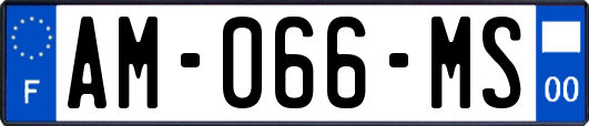 AM-066-MS