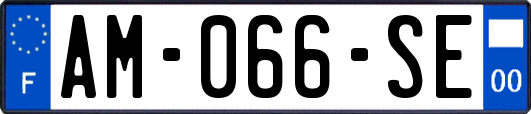 AM-066-SE