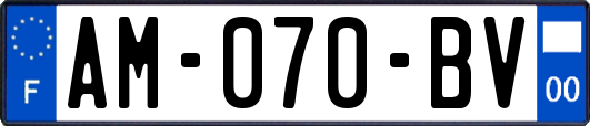 AM-070-BV