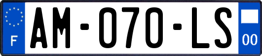 AM-070-LS