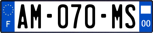 AM-070-MS