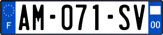AM-071-SV