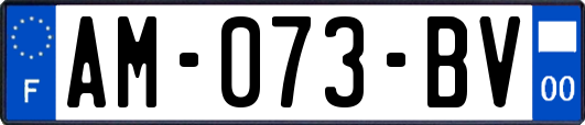 AM-073-BV