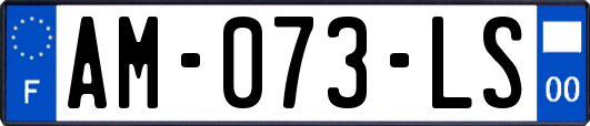 AM-073-LS
