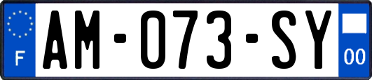 AM-073-SY