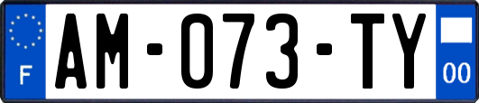AM-073-TY