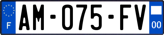 AM-075-FV