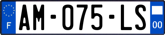 AM-075-LS