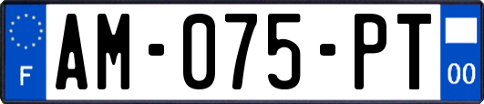 AM-075-PT
