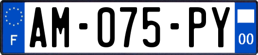 AM-075-PY