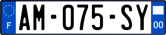 AM-075-SY